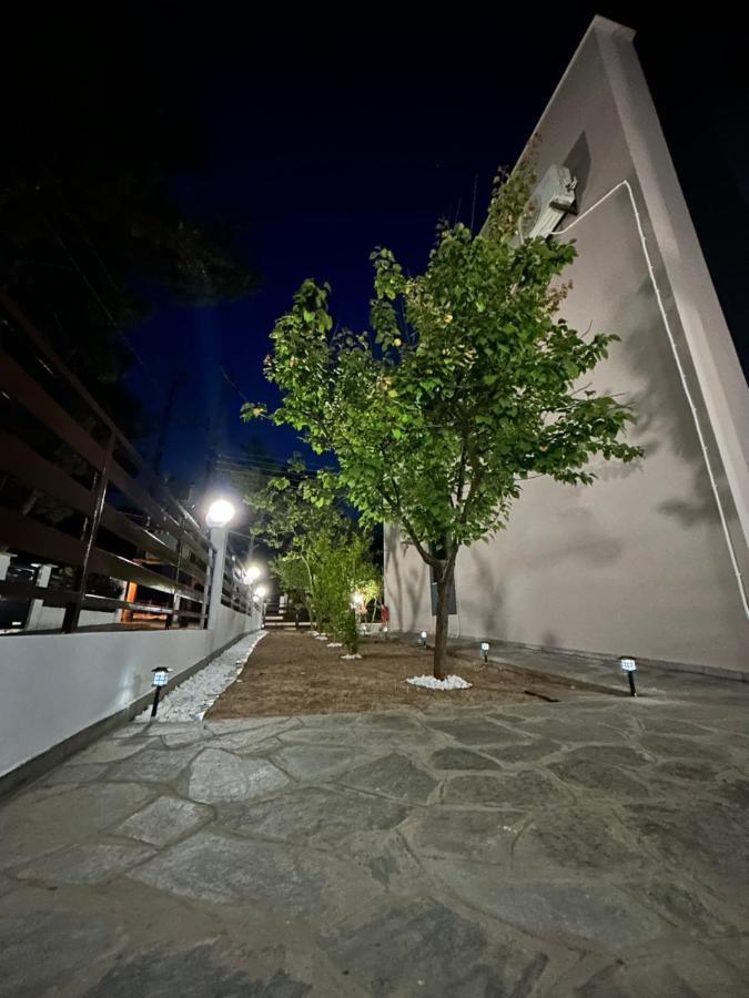 R Lux Villa Nea Kallikrateia المظهر الخارجي الصورة